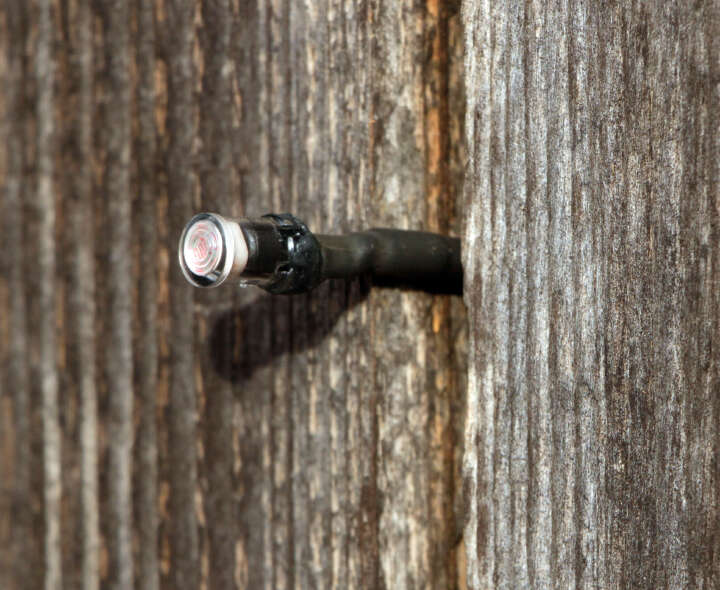 KERBL Externer Lichtsensor für automatische Hühnertür